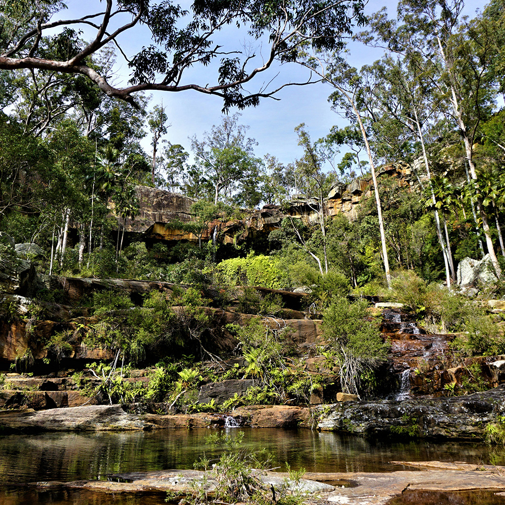 Your Moving Checklist ✅